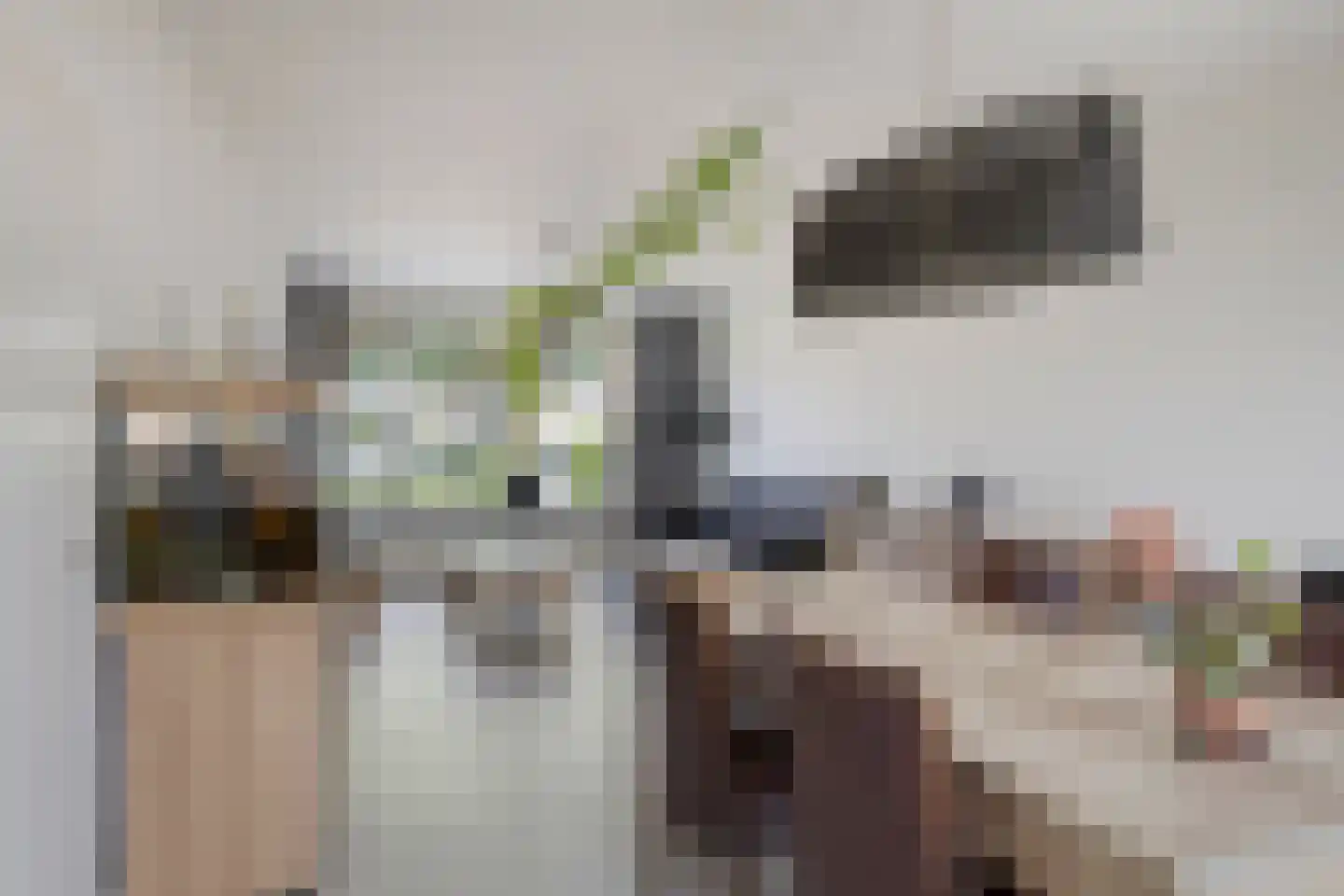 Trompstraat 22 Son en Breugel thumbnail 11