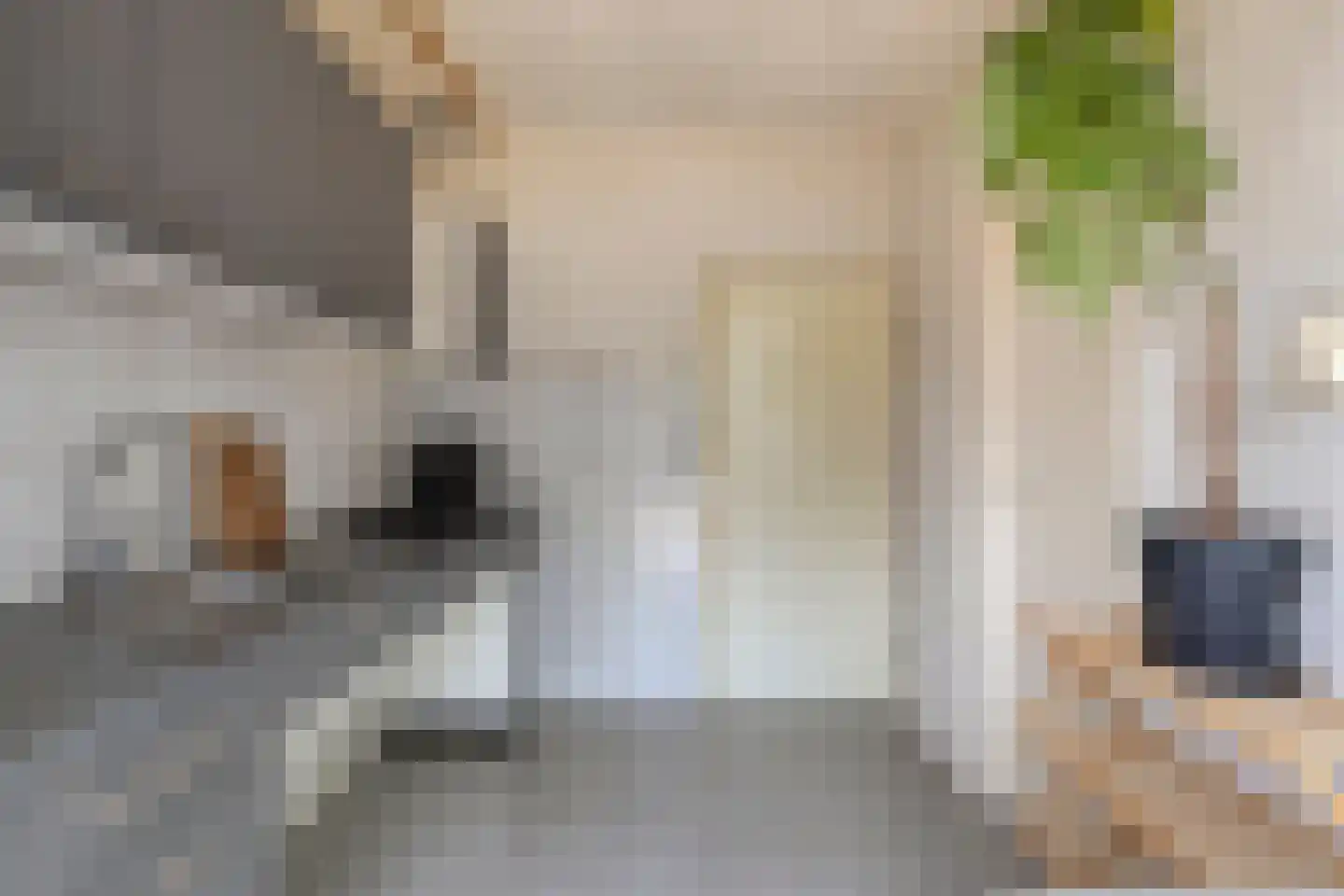 Trompstraat 22 Son en Breugel thumbnail 13