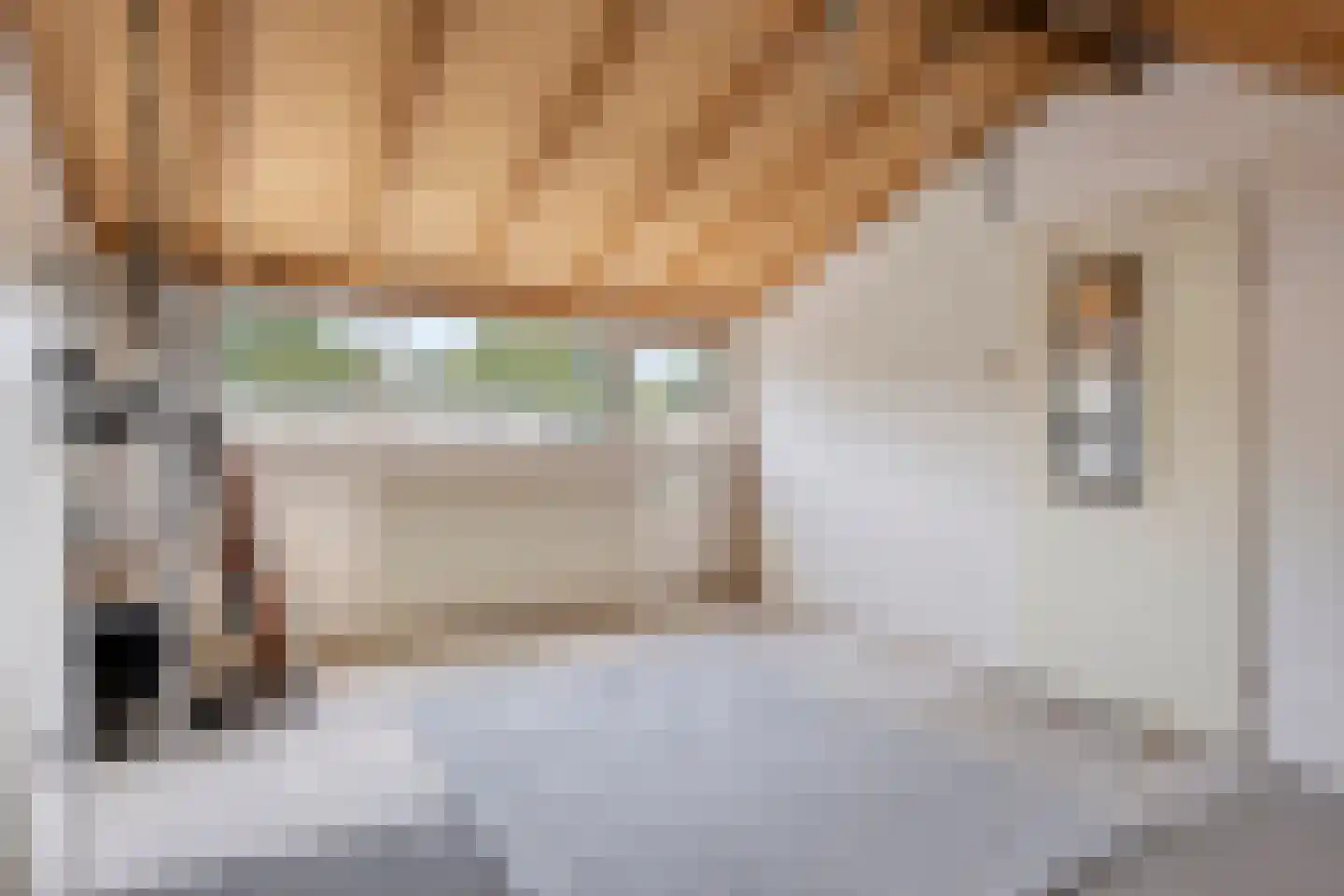 Trompstraat 22 Son en Breugel thumbnail 25