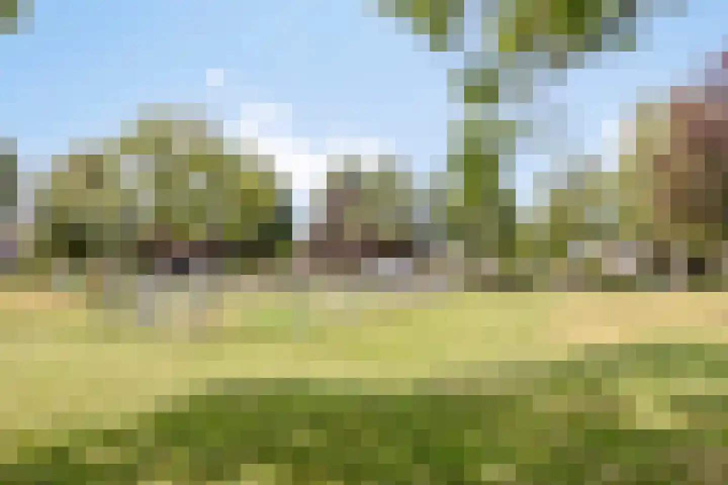 Trompstraat 22 Son en Breugel thumbnail 31