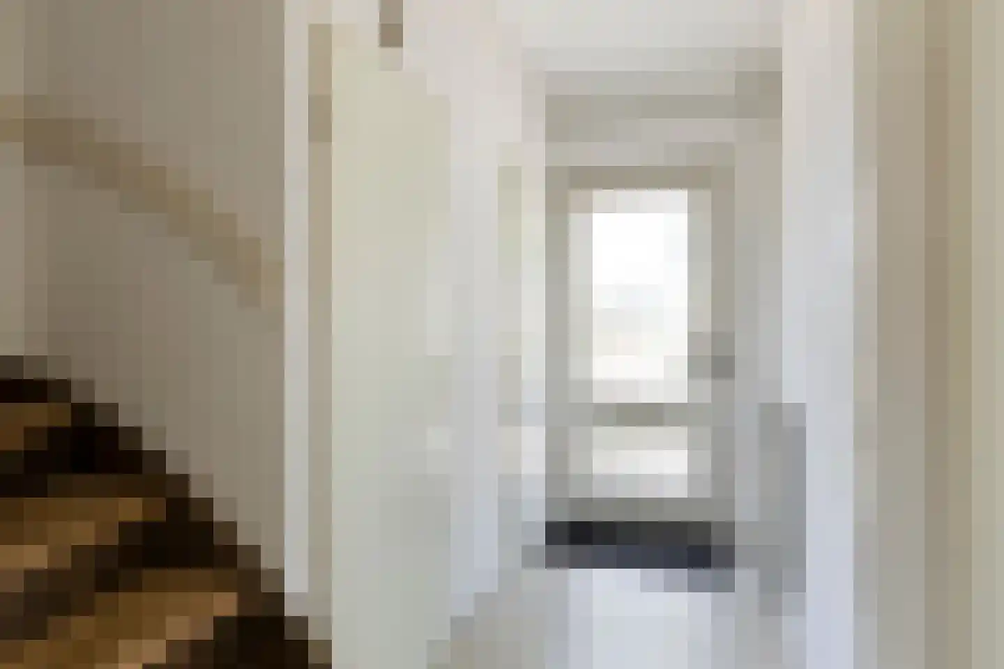 Trompstraat 22 Son en Breugel thumbnail 7