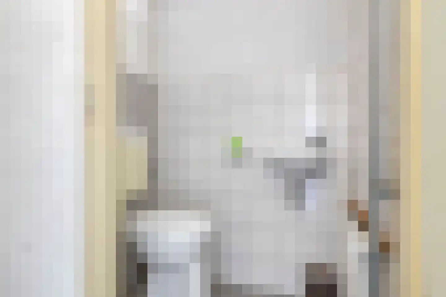Trompstraat 22 Son en Breugel thumbnail 9