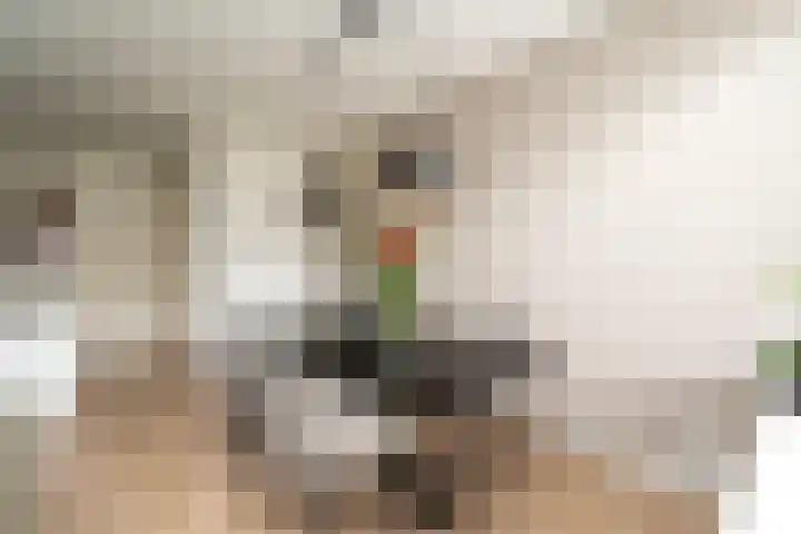 Trompstraat 23 Tilburg thumbnail 10