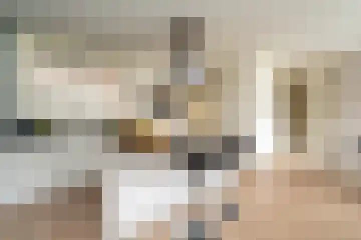 Trompstraat 23 Tilburg thumbnail 13