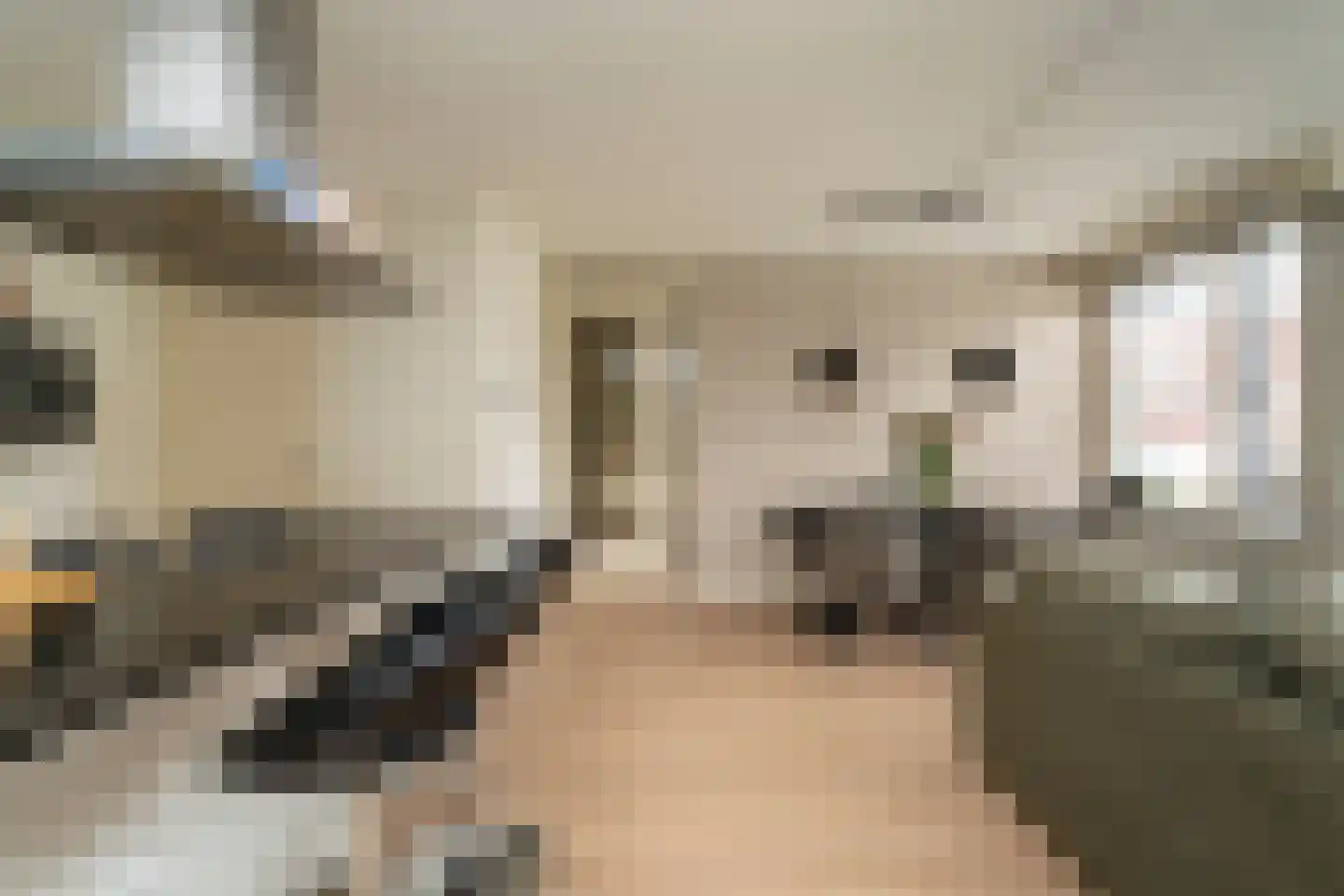 Trompstraat 23 Tilburg thumbnail 17