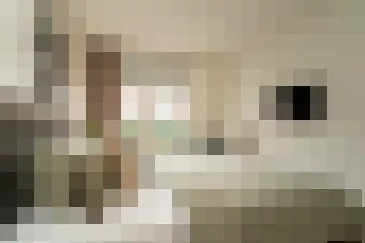 Trompstraat 23 Tilburg thumbnail 19