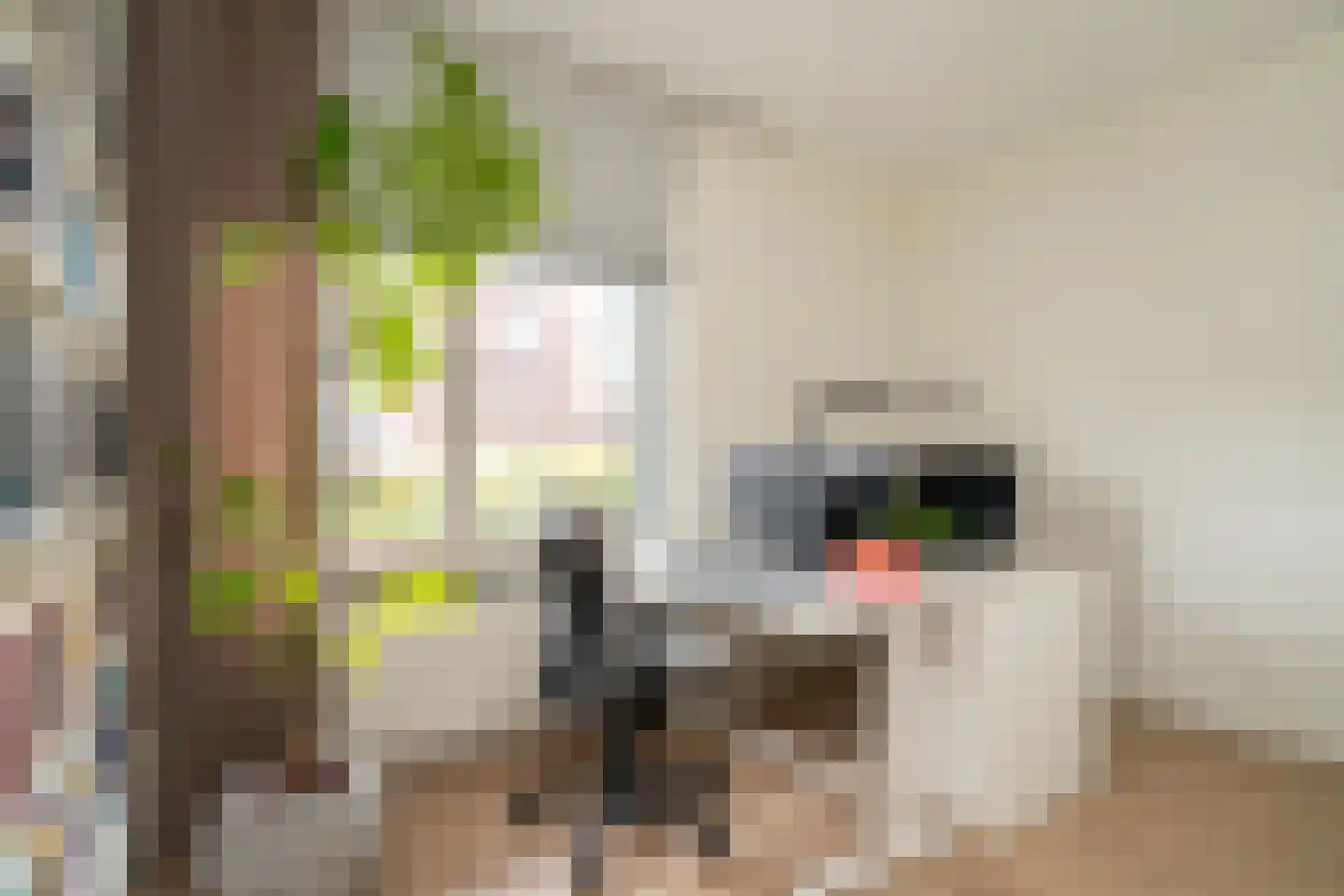 Trompstraat 23 Tilburg thumbnail 25