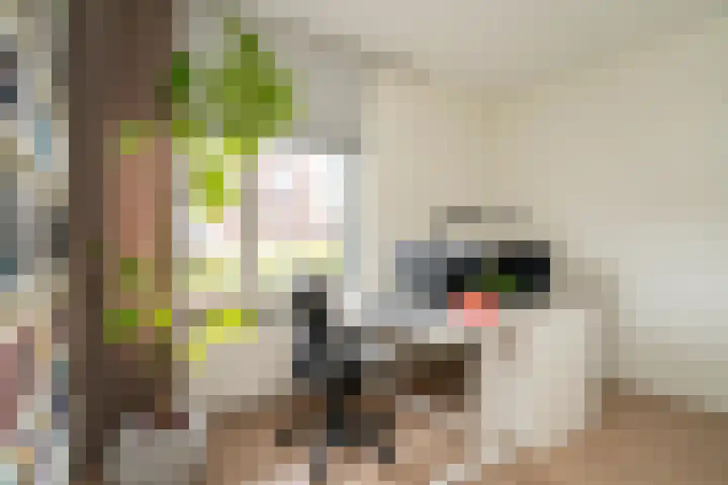 Trompstraat 23 Tilburg thumbnail 26