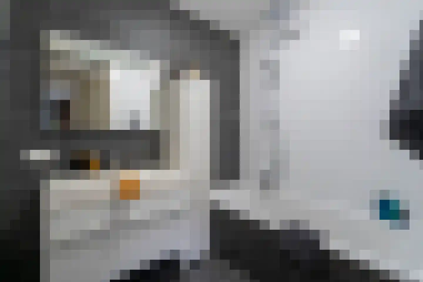 Trompstraat 23 Tilburg thumbnail 28