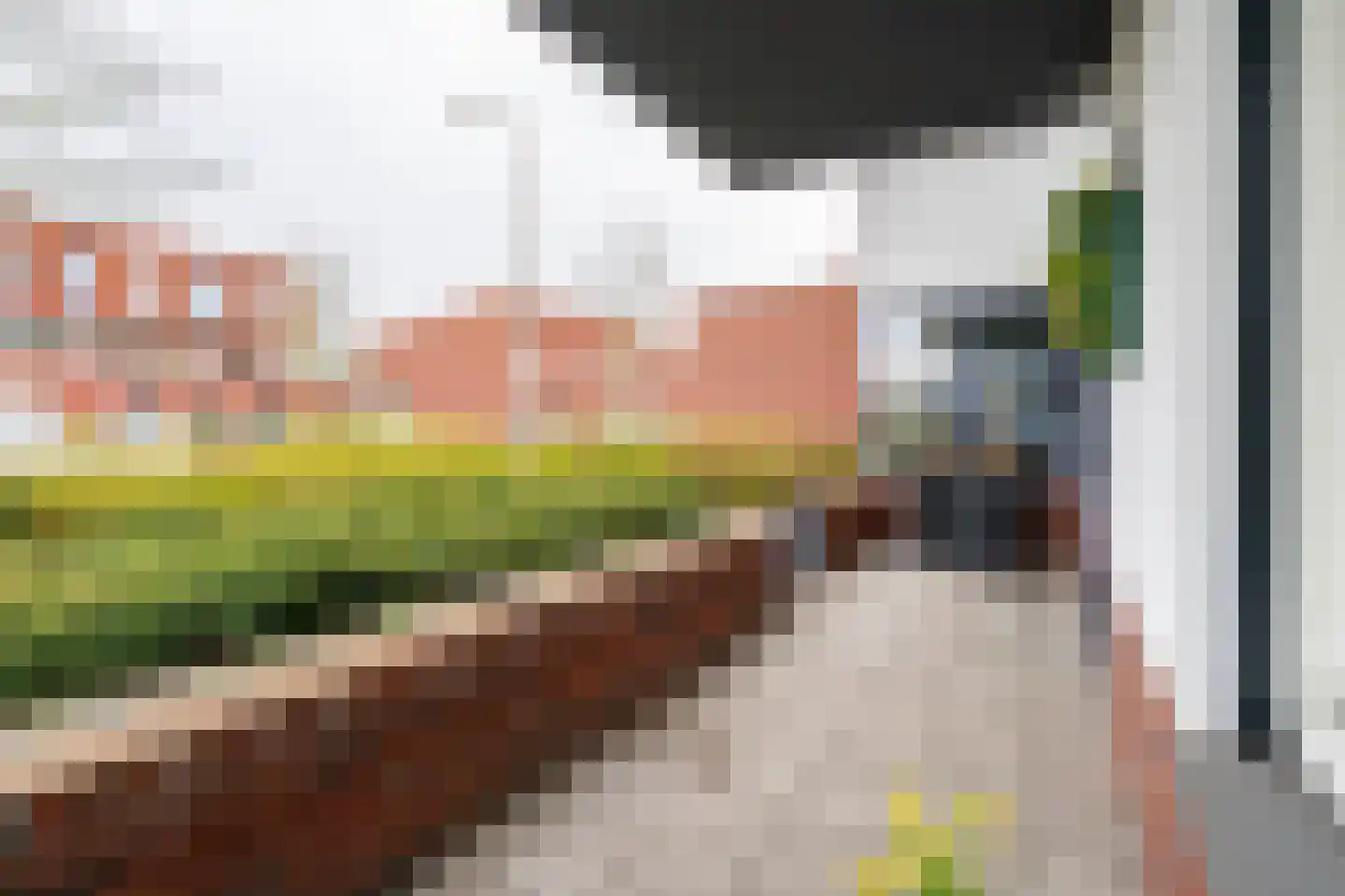 Trompstraat 23 Tilburg thumbnail 33