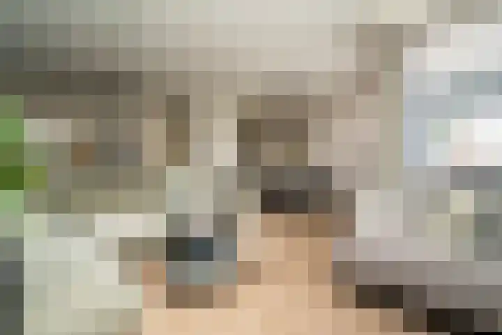 Trompstraat 23 Tilburg thumbnail 9