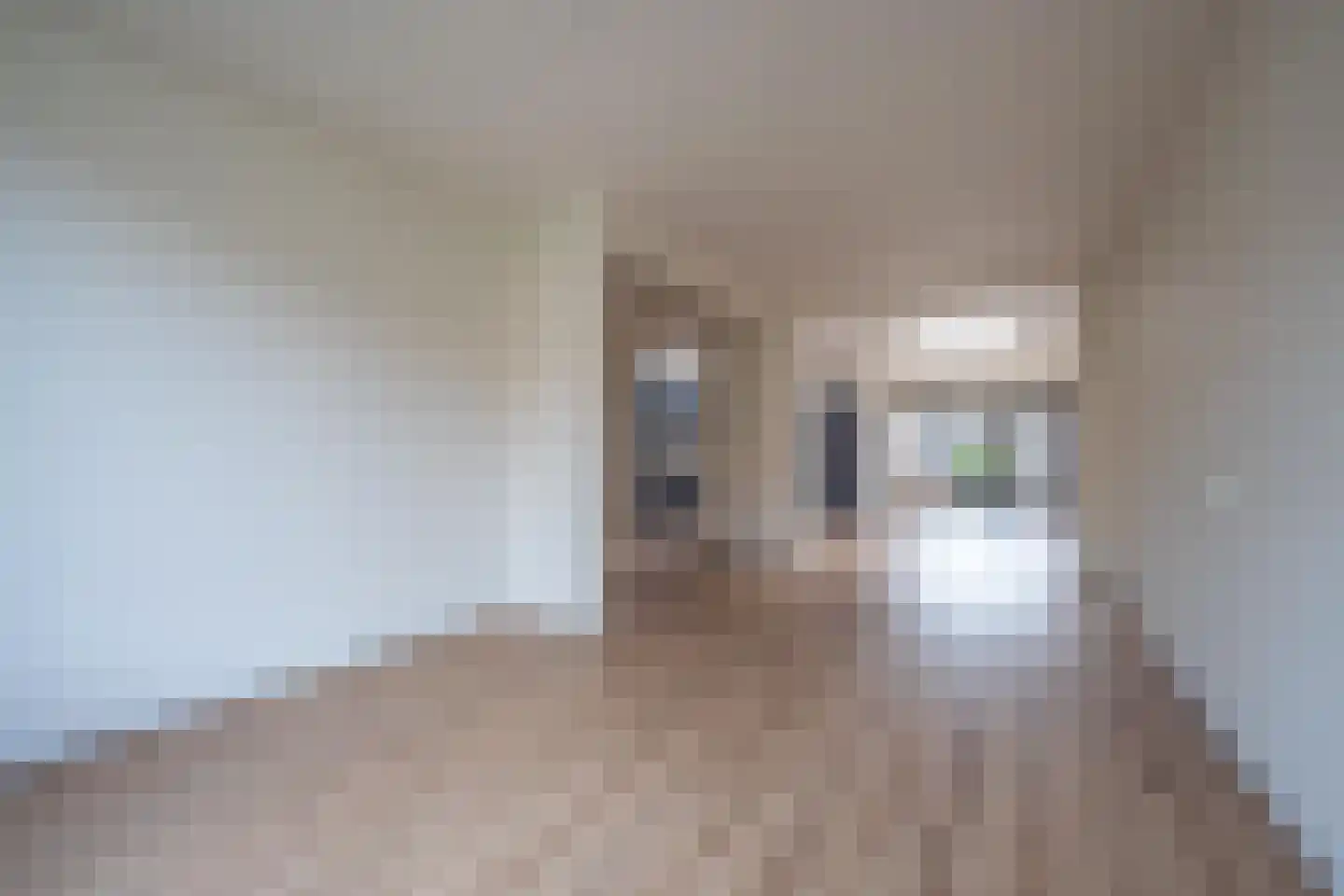 Trompstraat 24 Druten thumbnail 11