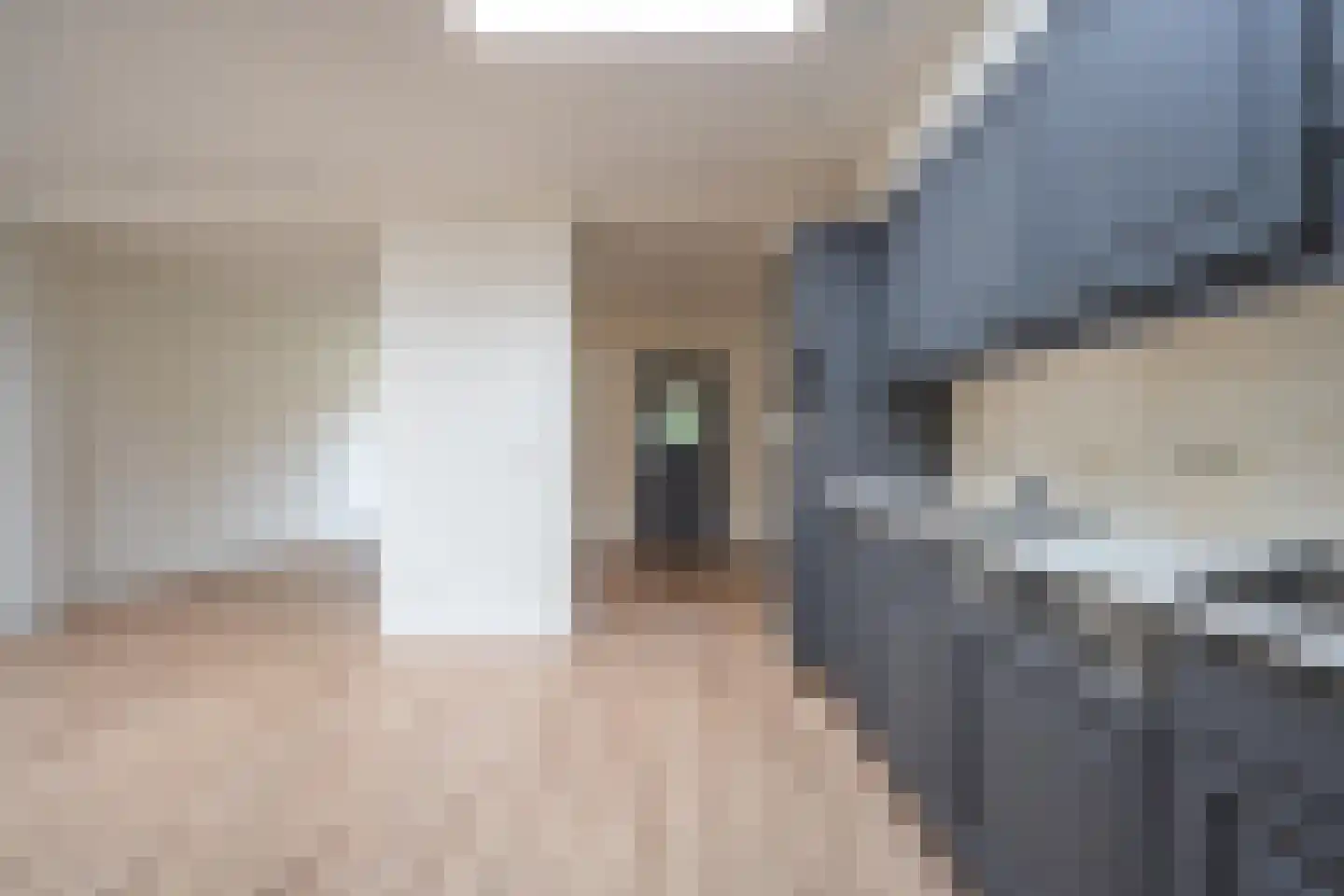 Trompstraat 24 Druten thumbnail 14