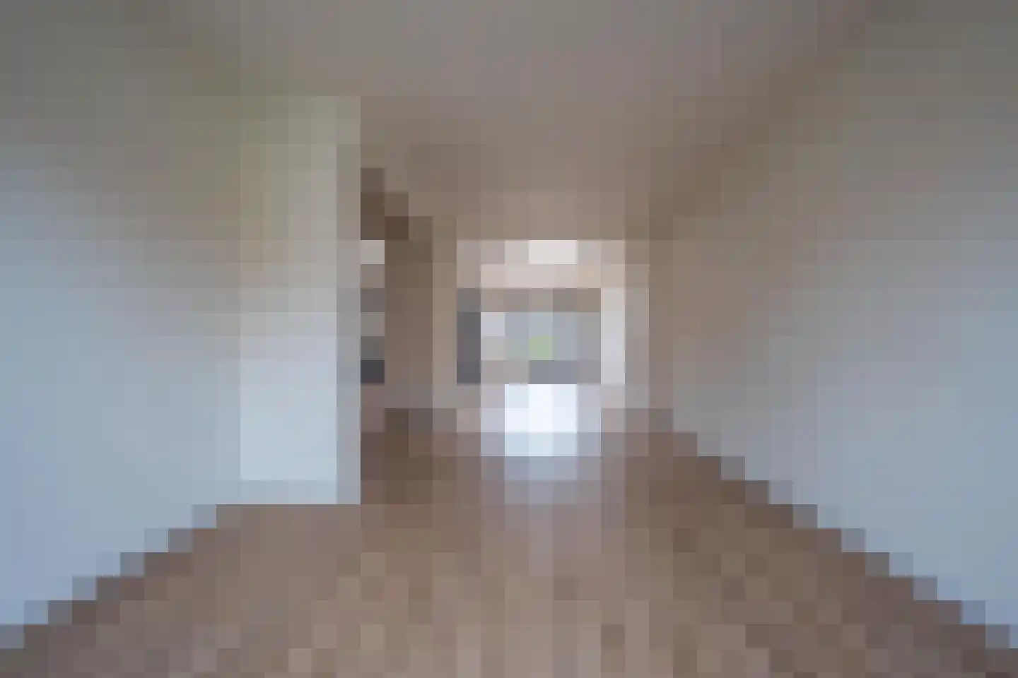 Trompstraat 24 Druten thumbnail 24