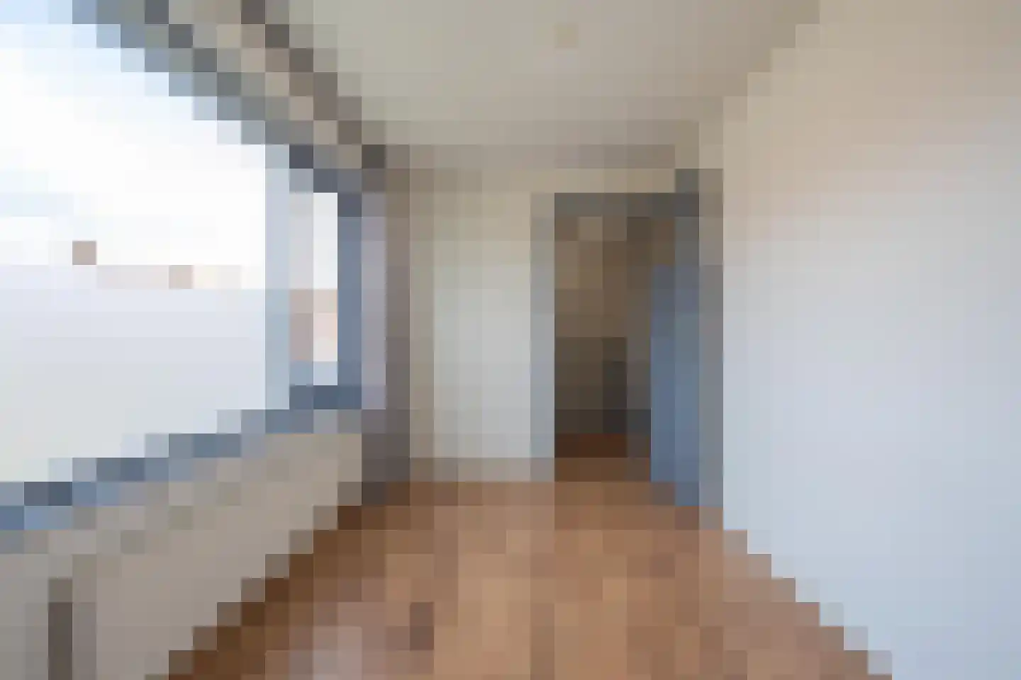 Trompstraat 24 Druten thumbnail 36