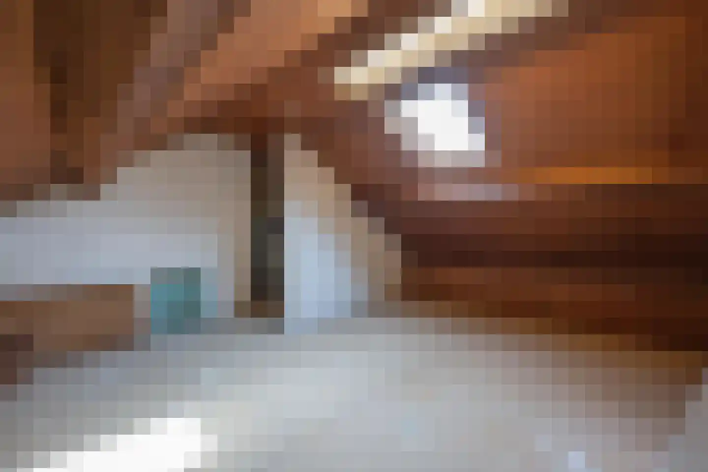 Trompstraat 24 Druten thumbnail 38