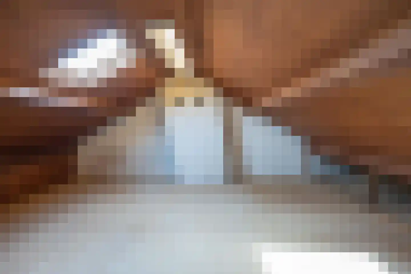 Trompstraat 24 Druten thumbnail 39