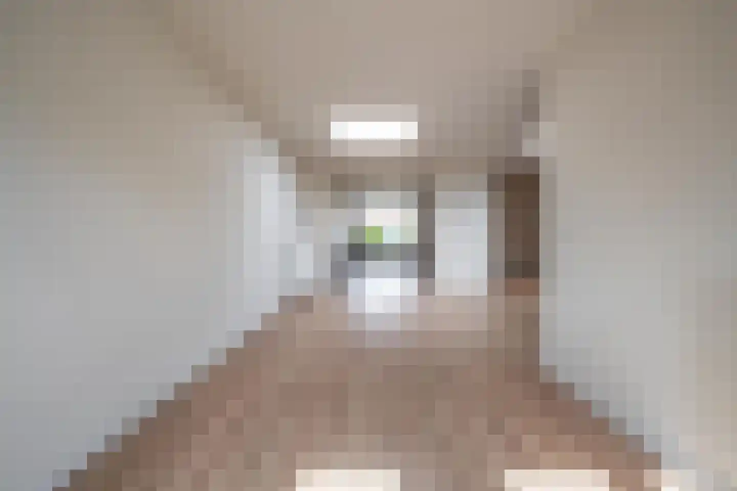 Trompstraat 24 Druten thumbnail 4