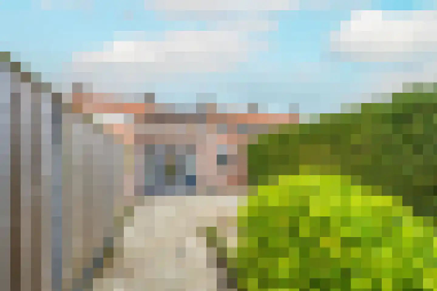 Trompstraat 24 Druten thumbnail 43