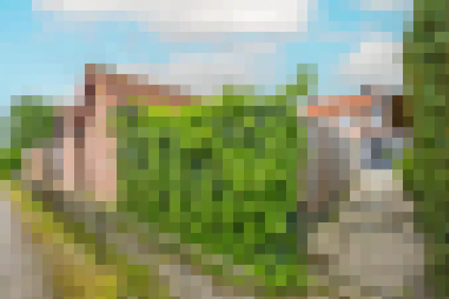 Trompstraat 24 Druten thumbnail 46