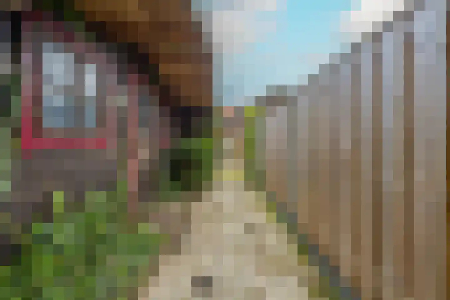 Trompstraat 24 Druten thumbnail 47