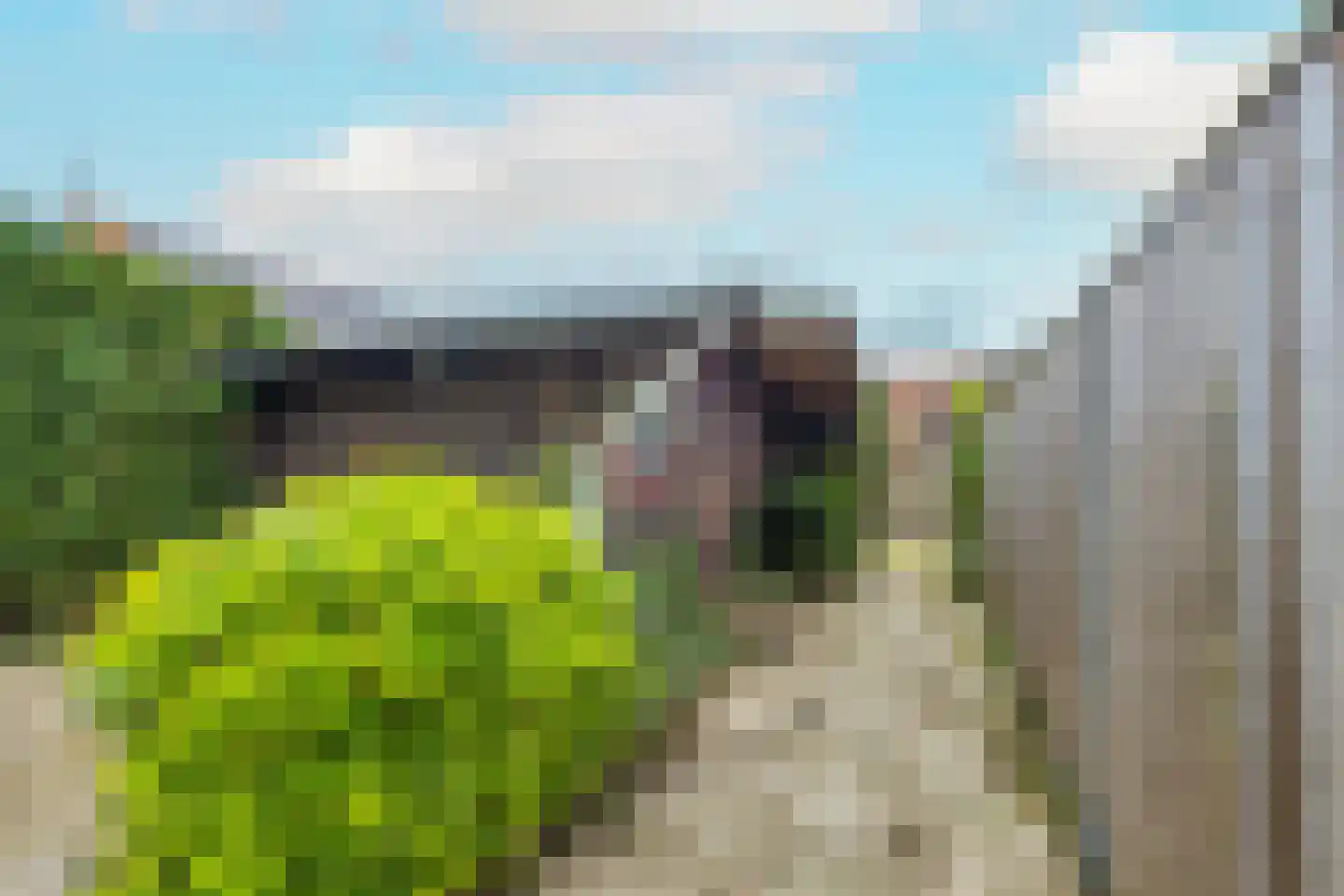 Trompstraat 24 Druten thumbnail 48