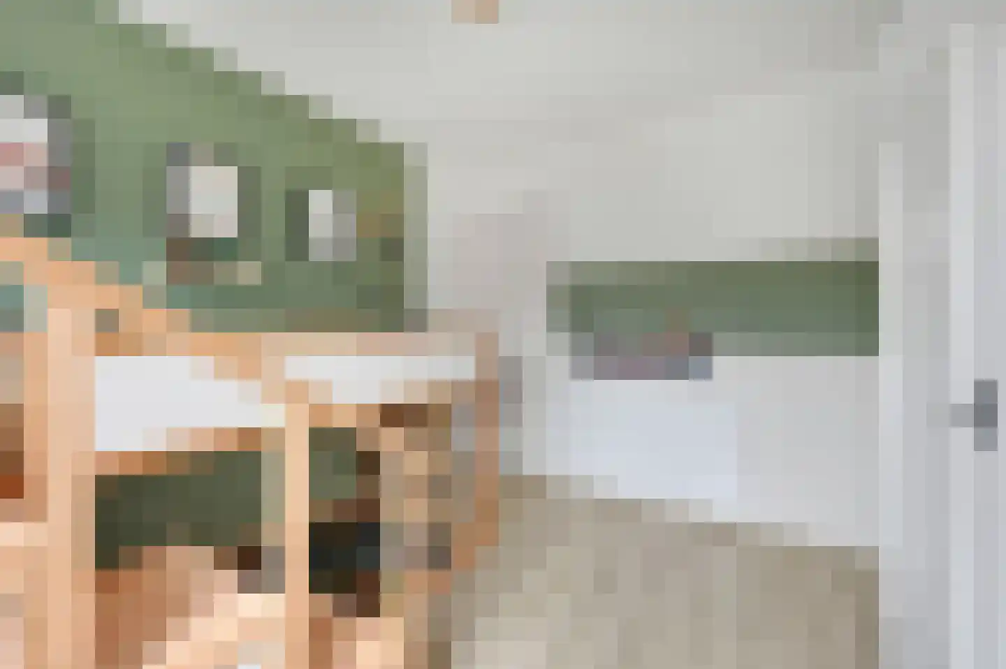 Trompstraat 24 Leidschendam thumbnail 26