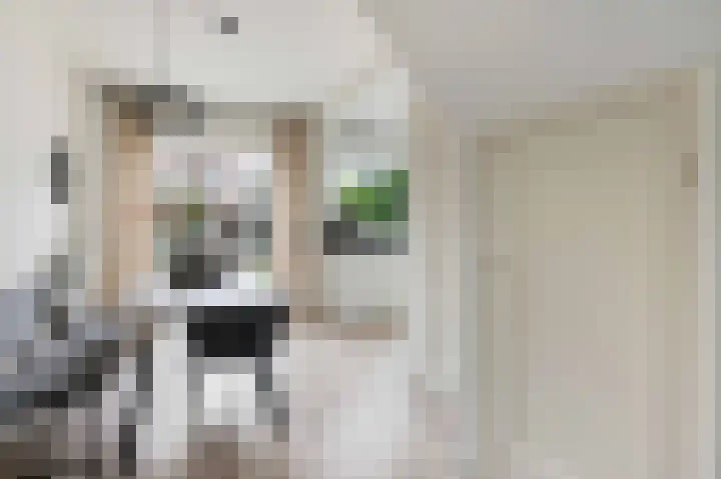 Trompstraat 24 Leidschendam thumbnail 8
