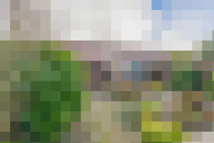 Trompstraat 26 Lisse thumbnail 20