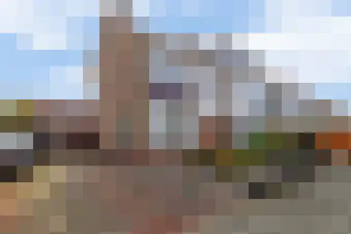 Trompstraat 26 Lisse thumbnail 24