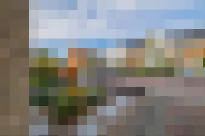 Trompstraat 26 Lisse thumbnail 25