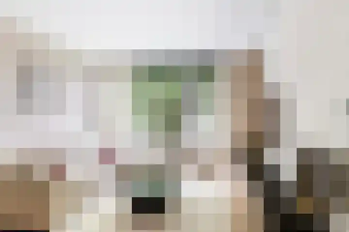 Trompstraat 26 Papendrecht thumbnail 10