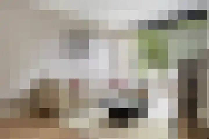 Trompstraat 26 Papendrecht thumbnail 13