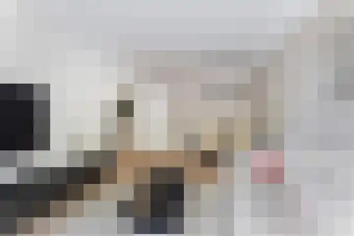 Trompstraat 26 Papendrecht thumbnail 16
