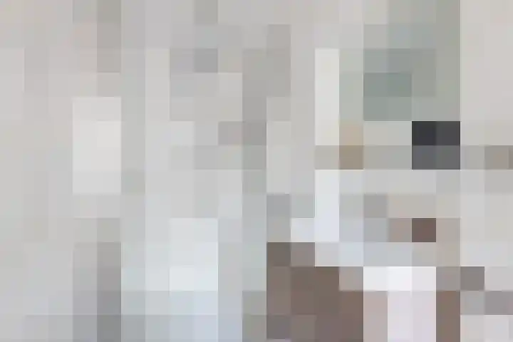 Trompstraat 26 Papendrecht thumbnail 34