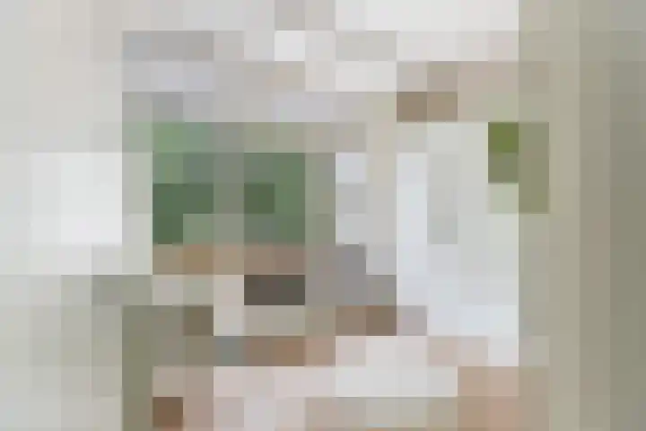 Trompstraat 26 Papendrecht thumbnail 37