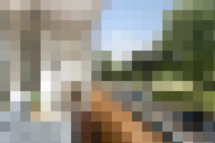 Trompstraat 26 Papendrecht thumbnail 39