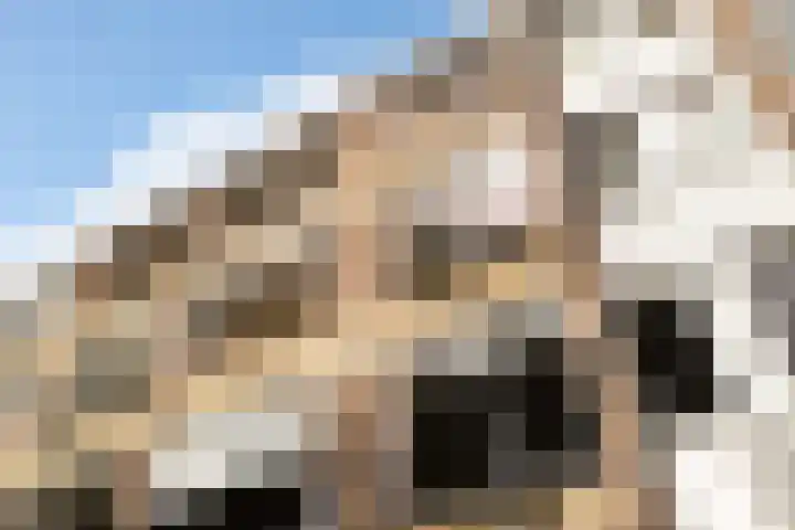 Trompstraat 26 Papendrecht thumbnail 4