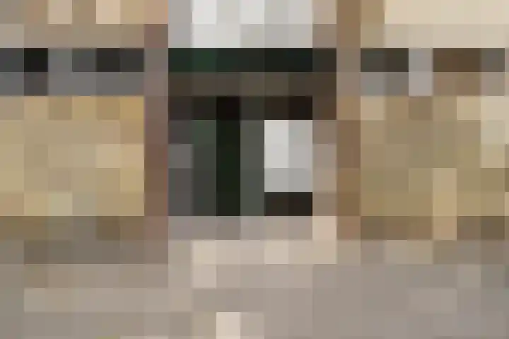 Trompstraat 26 Papendrecht thumbnail 41