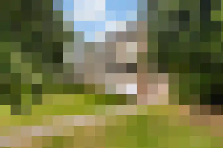 Trompstraat 26 Papendrecht thumbnail 43