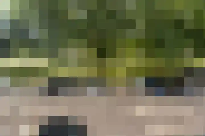 Trompstraat 26 Papendrecht thumbnail 45
