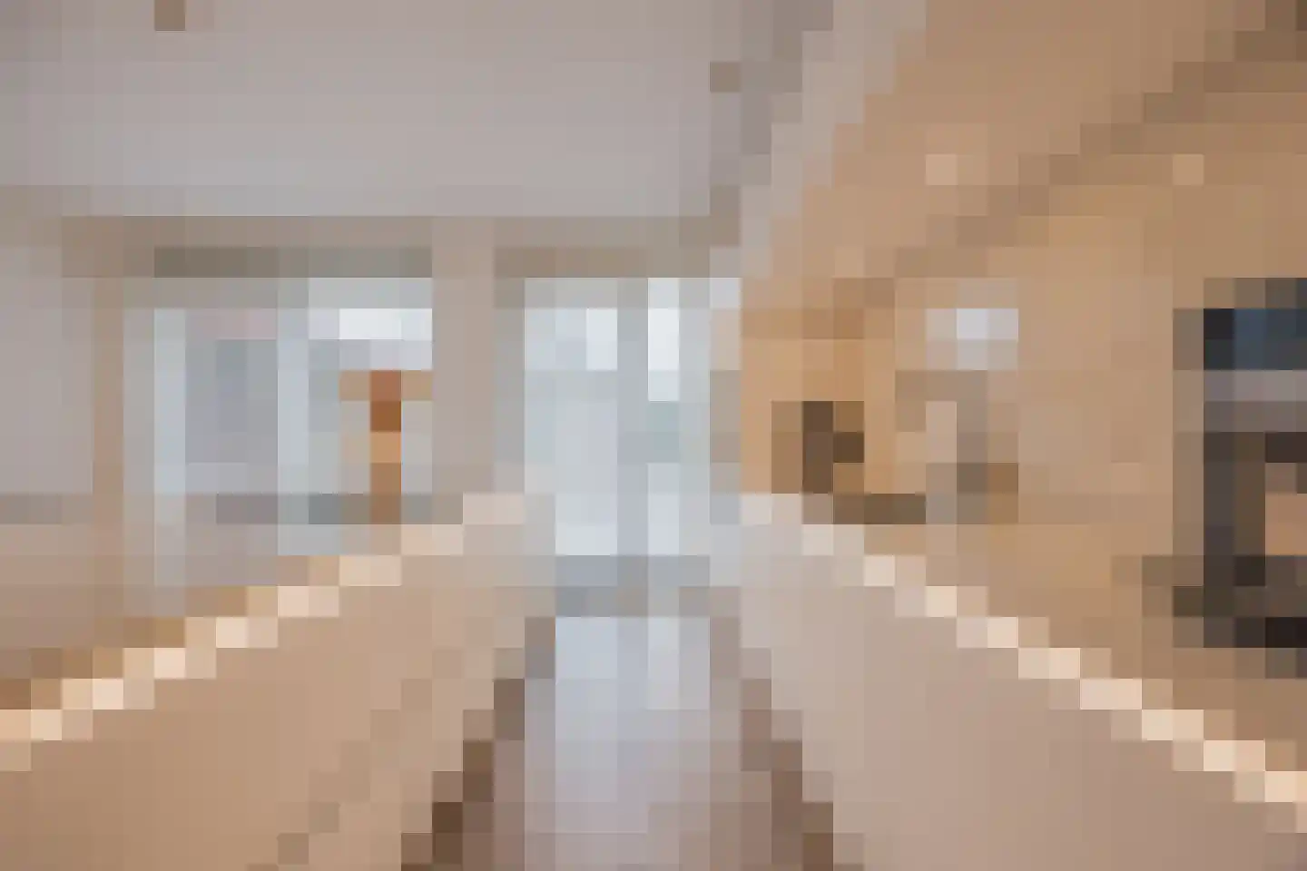Trompstraat 27 Tilburg thumbnail 11