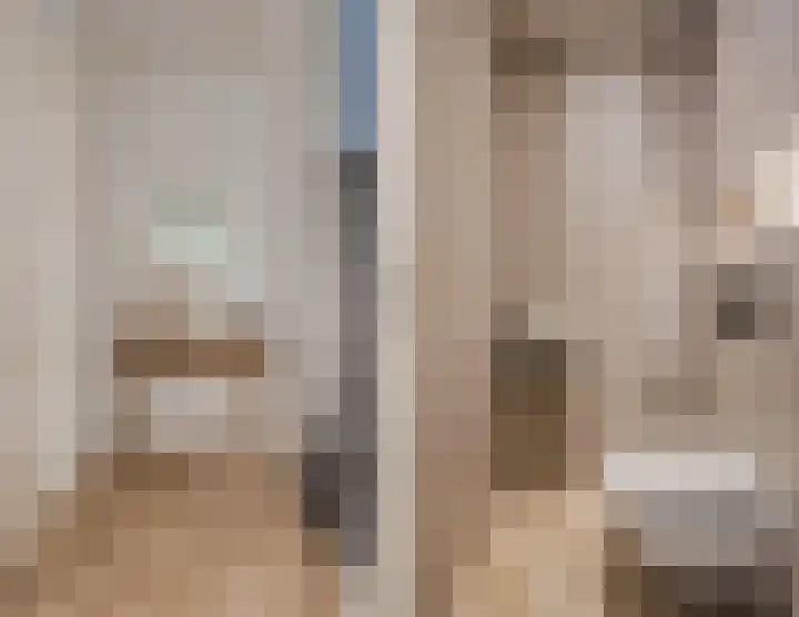 Trompstraat 27 Tilburg thumbnail 13