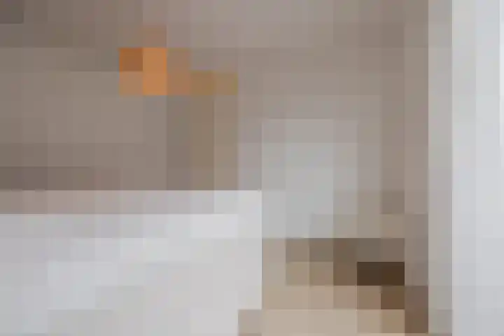 Trompstraat 27 Tilburg thumbnail 17