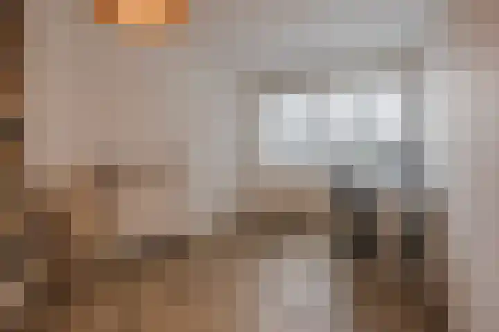 Trompstraat 27 Tilburg thumbnail 18