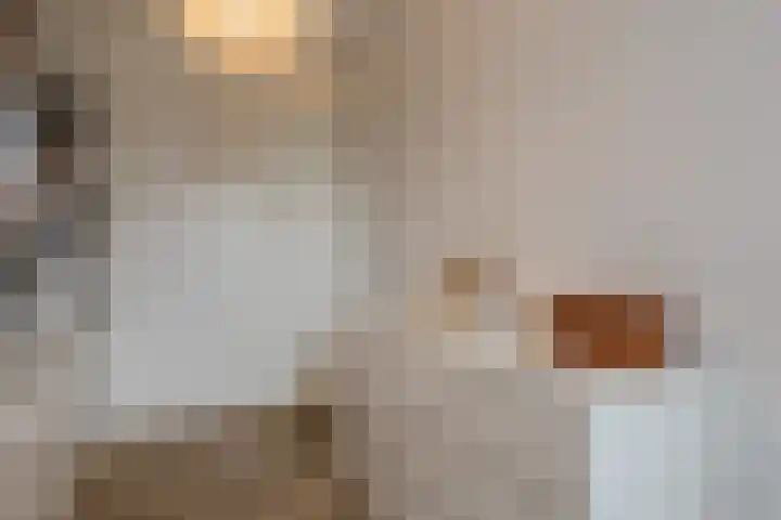 Trompstraat 27 Tilburg thumbnail 21