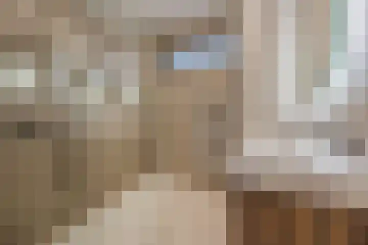 Trompstraat 27 Tilburg thumbnail 22