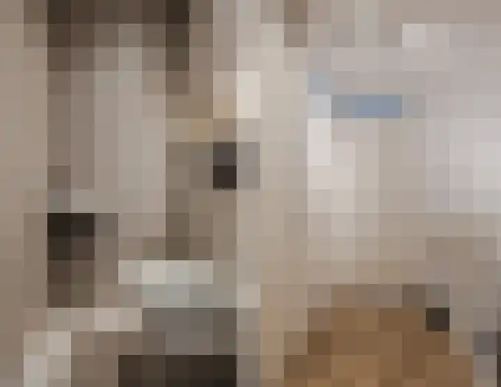 Trompstraat 27 Tilburg thumbnail 24