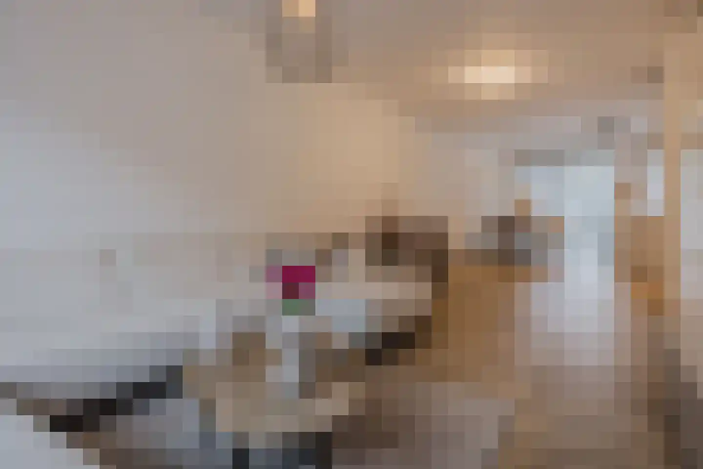 Trompstraat 27 Tilburg thumbnail 6