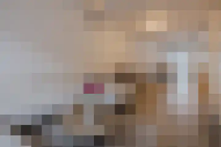 Trompstraat 27 Tilburg thumbnail 6